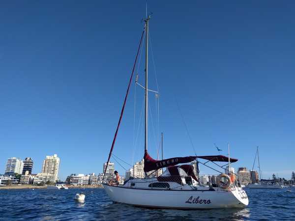 Libero al borneo en Punta del
Este